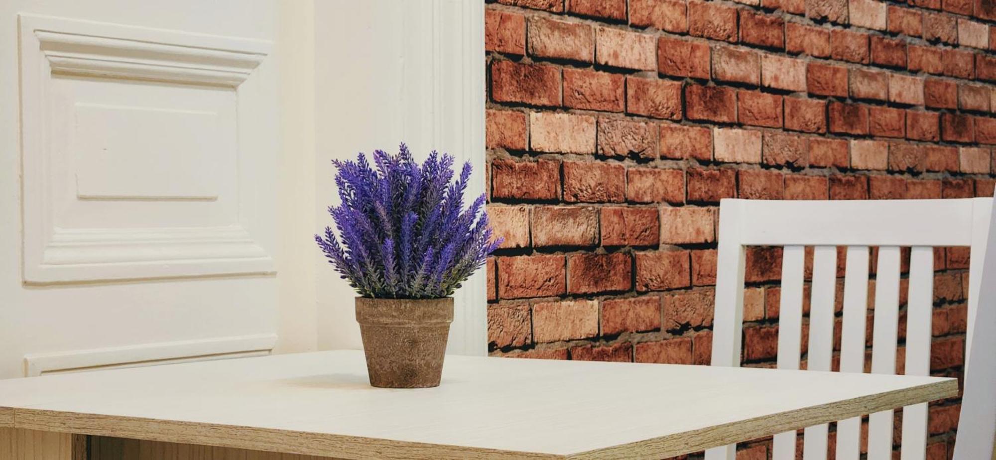 Friends - Your Cosy In The Center Apartament *
